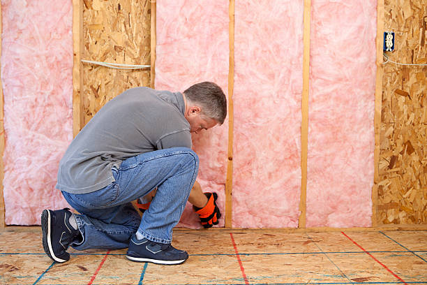 Best Garage Insulation Installation  in Garyville, LA