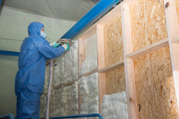 Best Insulation Replacement Services  in Garyville, LA