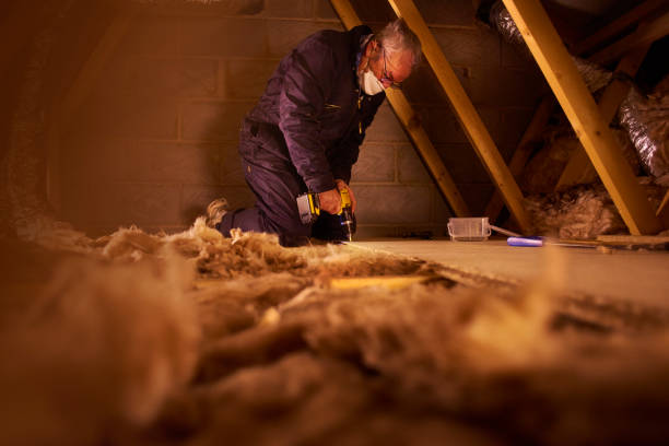 Best Attic Insulation Installation  in Garyville, LA